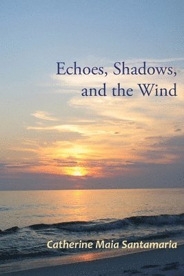 Echoes, Shadows, and the Wind 1