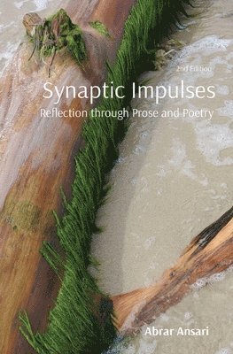 Synaptic Impulses 1