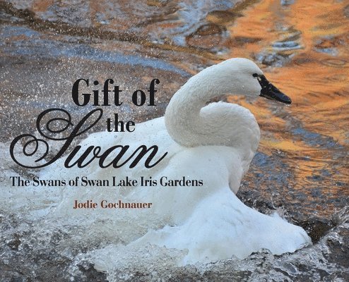 Jodie Gochnauer - Gift of the Swan, Inbunden