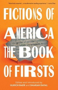 bokomslag Fictions of America