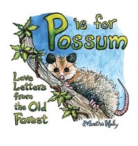 bokomslag P is for Possum: Love Letters from the Old Forest