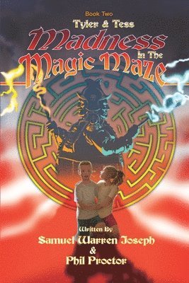 bokomslag Madness in the Magic Maze