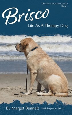 Brisco, Life As A Therapy Dog 1