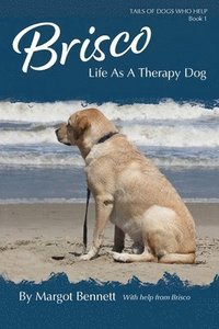 bokomslag Brisco, Life As A Therapy Dog