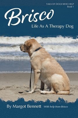 Brisco, Life As A Therapy Dog 1