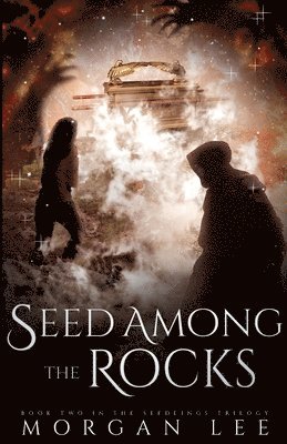 Seed Among the Rocks 1