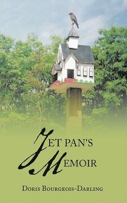 bokomslag Jet Pan's Memoir