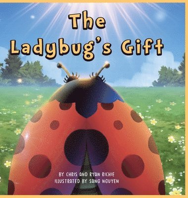 bokomslag The Ladybug's Gift