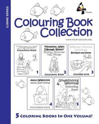 bokomslag Ojibwe Colouring Book Collection