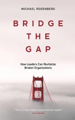 Michael Rodenberg - Bridge the Gap, Häftad