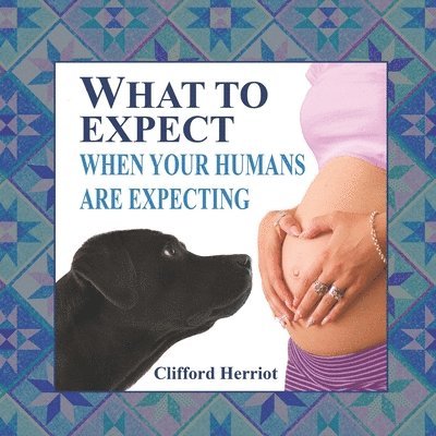 What to Expect When Your Humans are Expecting 1