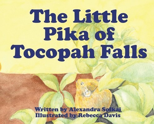 The Little Pika of Tocopah Falls 1