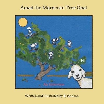 Amad the Moroccan Tree Goat 1