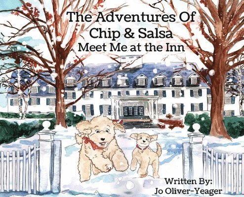 The Adventures of Chip and Salsa 1