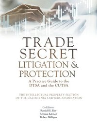 bokomslag Trade Secret Litigation and Protection