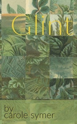 Carole Symer - Glint, Häftad