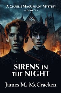 bokomslag Sirens in the Night