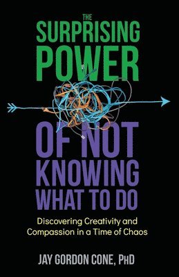 Jay G Cone, Jay G. Cone, G Cone, Jay, Alan Rinzler, Leslie Tilley - Surprising Power of Not Knowing What to Do, Häftad