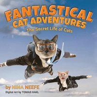 bokomslag Fantastical Cat Adventures