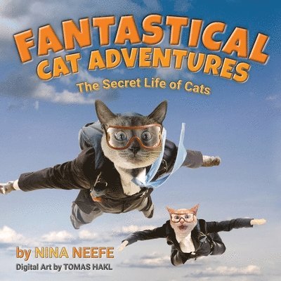 Fantastical Cat Adventures 1