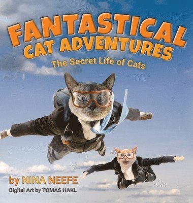 Fantastical Cat Adventures 1