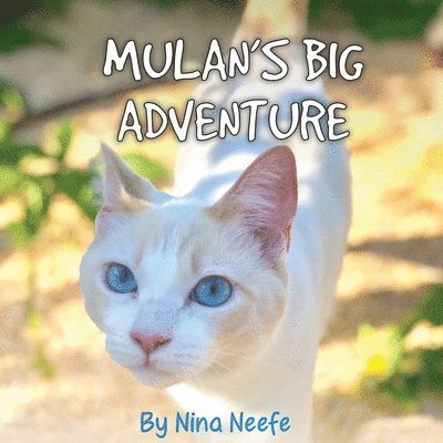 Mulan's Big Adventure 1