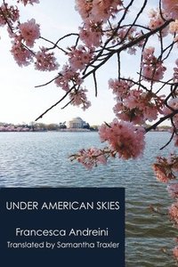 bokomslag Under American Skies