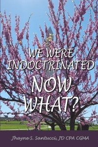 bokomslag We Were Indoctrinated, Now What?