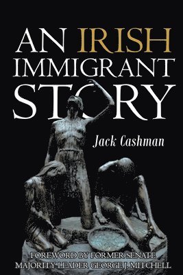 bokomslag Irish Immigrant Story