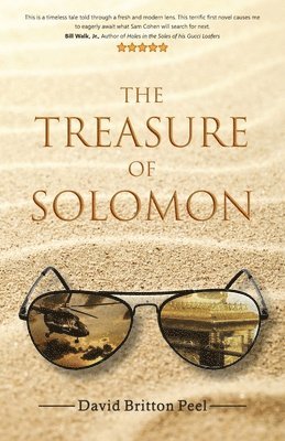 bokomslag The Treasure of Solomon