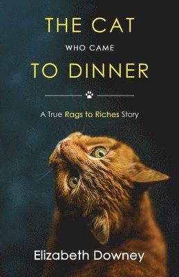 Elizabeth Downey - Cat Who Came to Dinner, Häftad