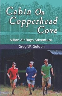 bokomslag Cabin On Copperhead Cove