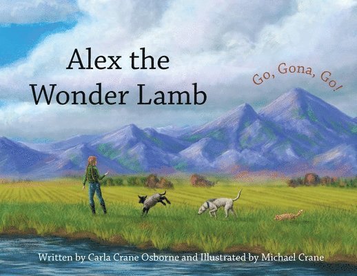 Carla Crane Osborne - Alex the Wonder Lamb, Häftad