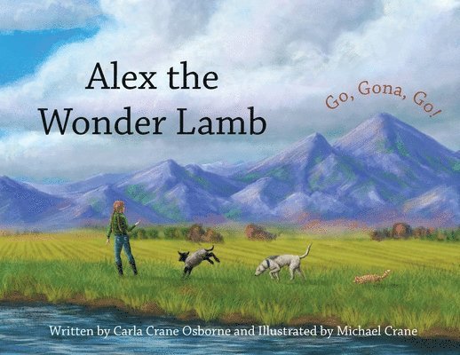 Alex the Wonder Lamb 1