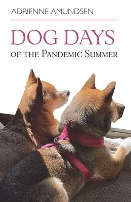 Dog Days of the Pandemic Summer 1