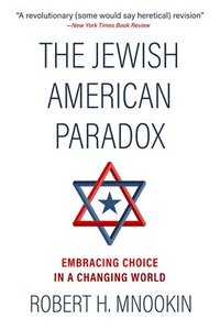 bokomslag The Jewish American Paradox