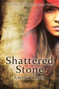 bokomslag Shattered Stone