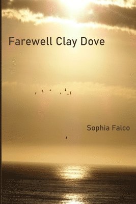 bokomslag Farewell Clay Dove