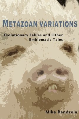 Mike Bendzela, MIKE BENDZELA - Metazoan Variations, Häftad