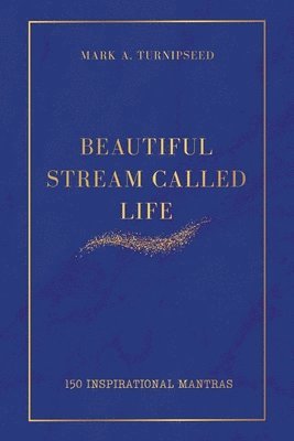 Beautiful Stream Called Life 1