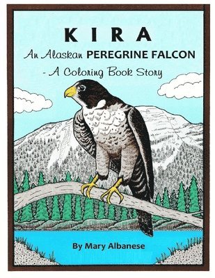 Kira, an Alaskan Peregrine Falcon: A Coloring Book 1