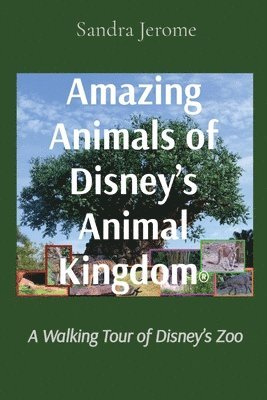 Amazing Animals of Disney's Animal Kingdom(R) 1
