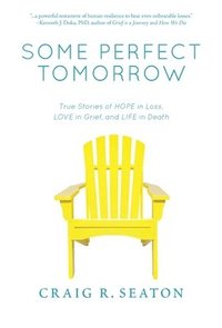 bokomslag Some Perfect Tomorrow