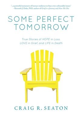 bokomslag Some Perfect Tomorrow