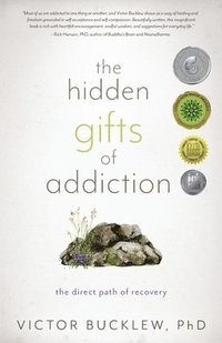 bokomslag Hidden Gifts of Addiction