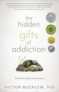 bokomslag The Hidden Gifts of Addiction