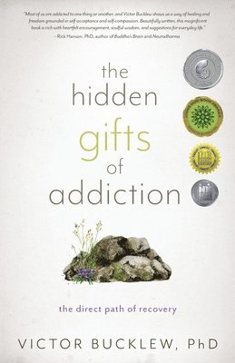bokomslag Hidden Gifts of Addiction