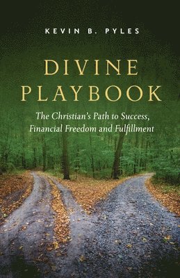 Divine Playbook 1