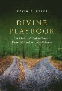 bokomslag Divine Playbook
