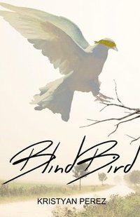 bokomslag Blind Bird